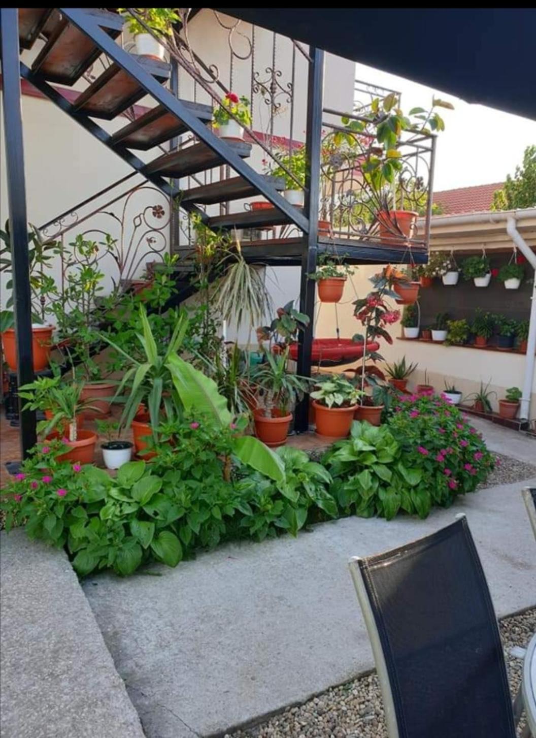 Vila Robert Schitu Exterior photo
